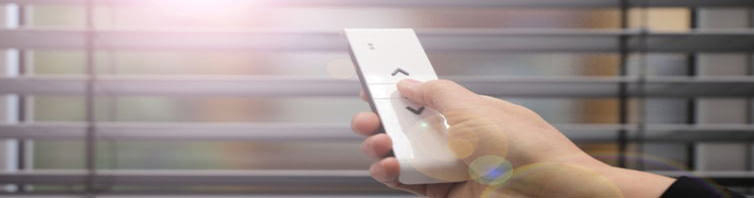 Persianistas en Bizkaia